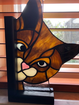 Calico Cat