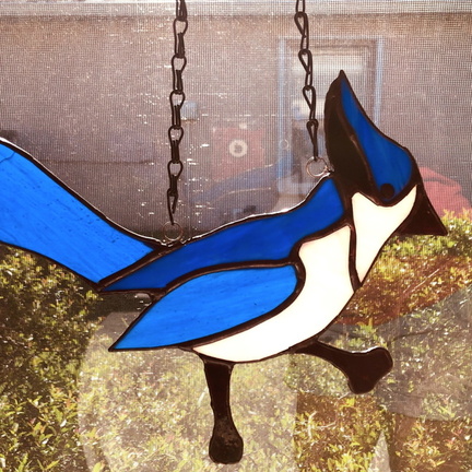 Blue Jay
